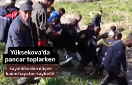 Yüksekova’da pancar toplarken kayalıklardan düşen kadın hayatını kaybetti