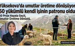 Yüksekova’da Umutlar Üretime Dönüşüyor: 60 Yükümlü Kendi Işinin Patronu Oldu!