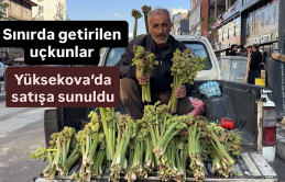 Sınırda getirilen uçkunlar Yüksekova’da satışa sunuldu