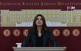 DEM Partili Koçyiğit: Barışın hukuka ihtiyacı var