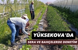 Yüksekova'da sera ve bahçelerde denetim