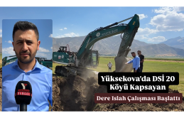 Yüksekova'da DSİ 20 Köyü Kapsayan Dere Islah Çalışması Başlattı
