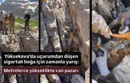 Uçurumdan düşen sigortalı boğa için zamanla yarış: Metrelerce yükseklikte can pazarı