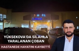 Yüksekova'da silahla yaralanan çoban hastanede hayatını kaybetti