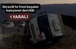 Derecik'te freni boşalan kamyonet devrildi: 1 Yaralı