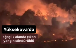 Yüksekova'da Ağaçlık Alanda Çıkan Yangın Söndürüldü