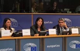AP Kürt Konferansı’nda Pervin Buldan: ‘Süreç karşılıklı adımlarla ilerlemeli’