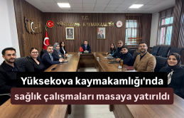 Yüksekova kaymakamlığı'nda sağlık çalışmaları masaya yatırıldı