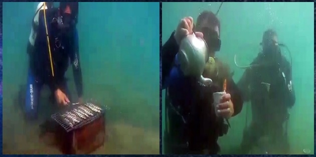 Van Gölü derinliklerinde mangal, semaver çayı keyfi