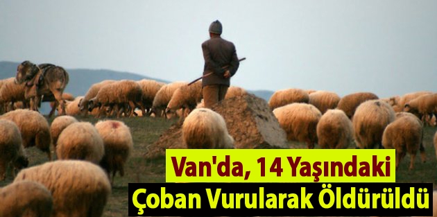 Van'da, 14 Yaşındaki Çoban Vurularak Öldürüldü 