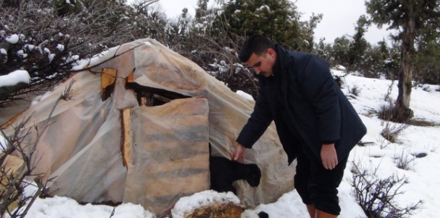 Yörüklerin kar altında zorlu yaşamı