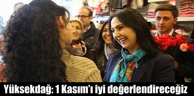 Yüksekdağ: 1 Kasım’ı iyi değerlendireceğiz