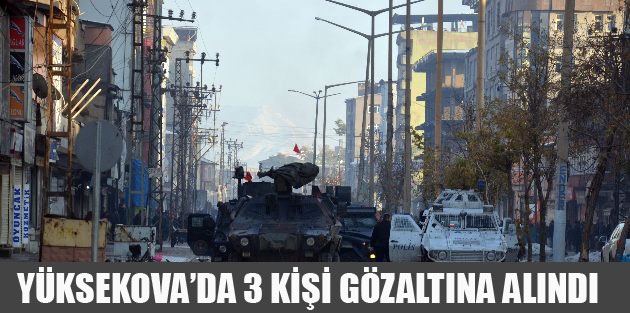 Yüksekova'da 3 kişi gözaltına alındı