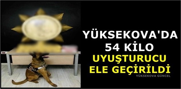 Yüksekova'da 54 Kilo Uyuşturucu Ele Geçirildi