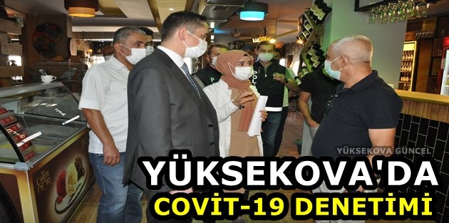 Yüksekova'da Covid-19 Denetimi