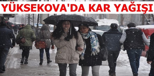 Yüksekova'da kar yağışı