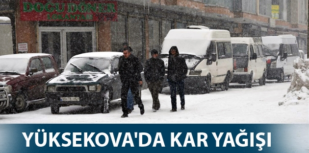 Yüksekova'da Kar Yağışı 