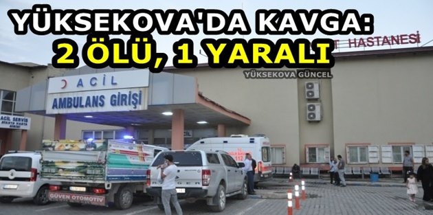 Yüksekova'da Kavga: 2 Ölü, 1 Yaralı