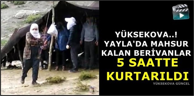 Yüksekova'da Yaylada Mahsur Kalan Berivanlar 5 Saatte Kurtarıldı