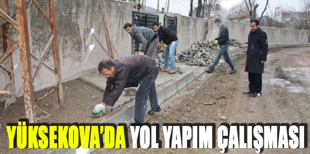 Yüksekova’da Yol Yapım Çalışması