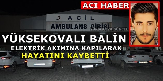 Yüksekovalı Balin'in Feci Ölümü
