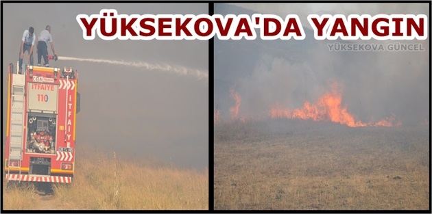 Yüksekova'nın Güçlü Köyünde yangın