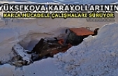 Yüksekova Karayollarının karla mücadele çalışmaları sürüyor