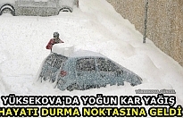 Yüksekova'da Yoğun Kar Yağışı Hayatı Durma Noktasına geldi