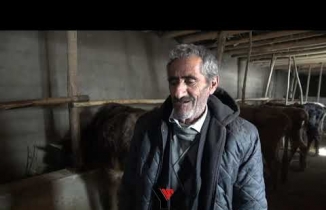 Bataklığa saplanan ineğin sahibi mehmet emin amca bu kış mutlu - Yüksekova