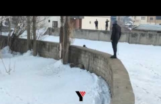 Mahalleye Kurt inince, Ekipler uyardı: Evlerinizden Çıkmayın - Yüksekova