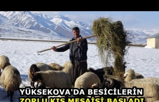 Yüksekova'da Besicilerin Zorlu Kış Mesaisi Başladı