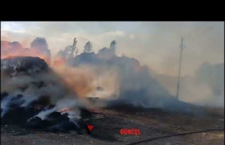 Yüksekova'da Çıkan Yangında 20 Bin Bağ Ot Yandı