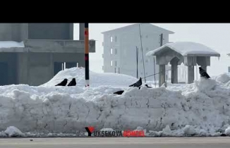 Yüksekova'da Hayvanlar İçin Doğaya Yem Bıraktı