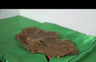 Yüksekova'da Hz. Muhammed'e ait kutsal emanetleri evinde saklıyor