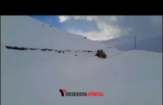 Yüksekova'da karla mücadele çalışması başladı