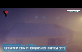 Yüksekova'da yoğun sis Görüş mesafesi 10 metreye düştü