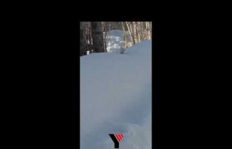 Yüksekova’da beyaz gelincik görüntülendi