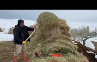Yüksekova’da Çiftçilerin Kış Zorluğu Devam Ediyor