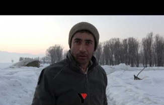 Yüksekova’da Kargalar İlginç Görüntüler Oluşturuyor