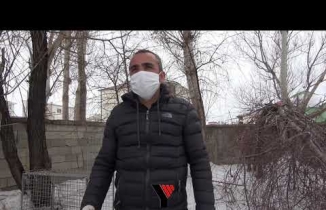 Yüksekova’da Korku Salan Kurt Sokak Sokak Aranıyor