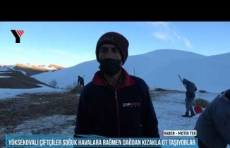 Yüksekovalı Çiftçiler Soğuk Havalara Rağmen Dağdan Kızakla Ot Taşıyorlar