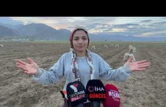 Yüksekova’nın bereketli toprakları: Patates hasadı yapıldı